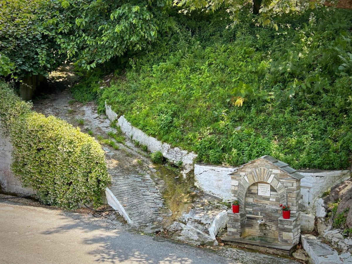 Λευκή Καμέλια Hotel Anilio Pelion Exterior photo