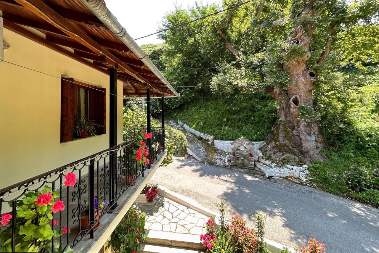 Λευκή Καμέλια Hotel Anilio Pelion Exterior photo