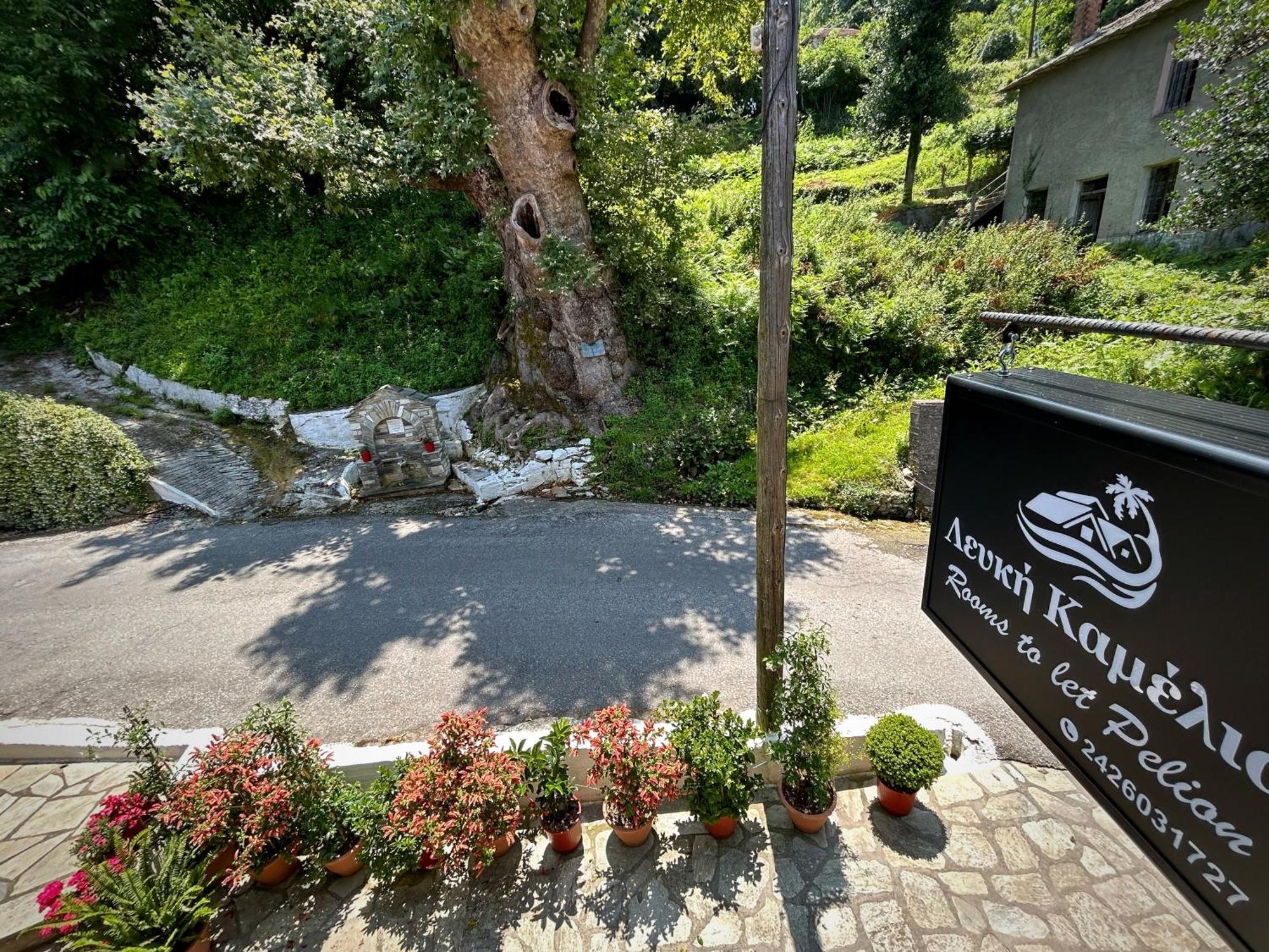 Λευκή Καμέλια Hotel Anilio Pelion Exterior photo