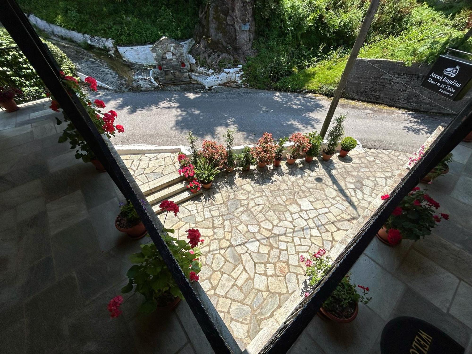 Λευκή Καμέλια Hotel Anilio Pelion Exterior photo