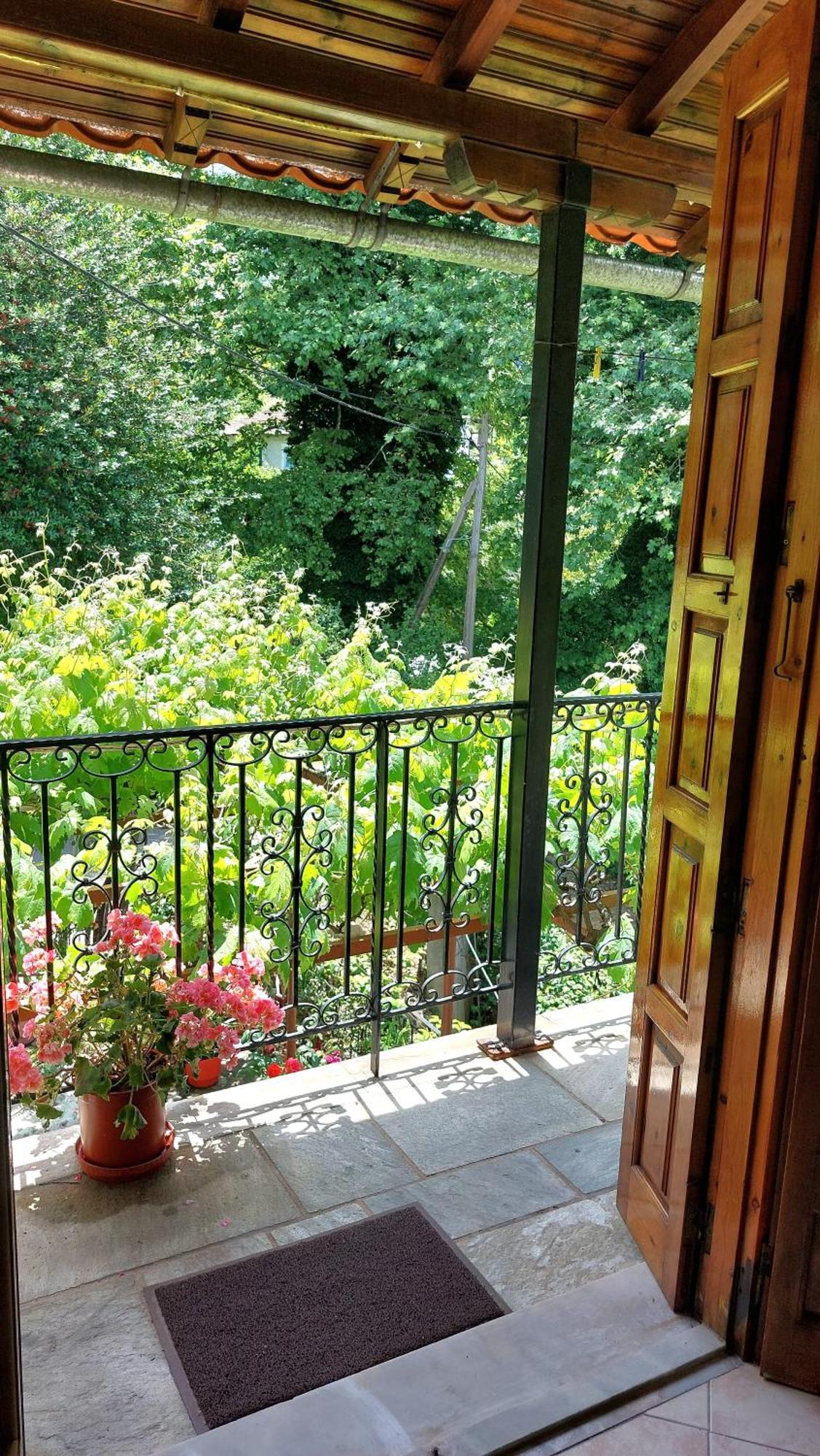 Λευκή Καμέλια Hotel Anilio Pelion Exterior photo